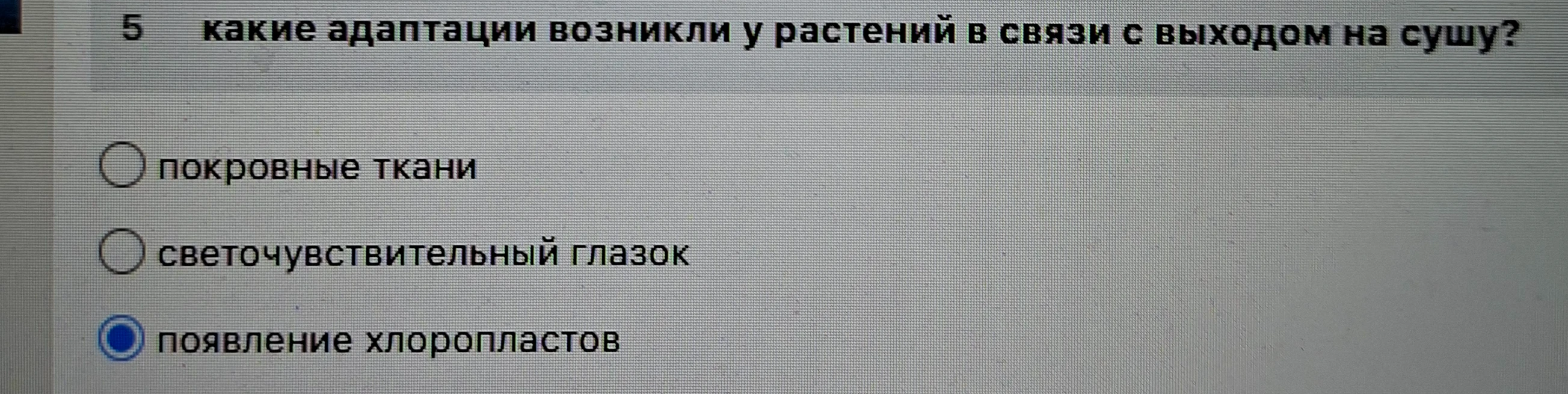 какие адаптации возникли у растений в связи с выходом на сушу?