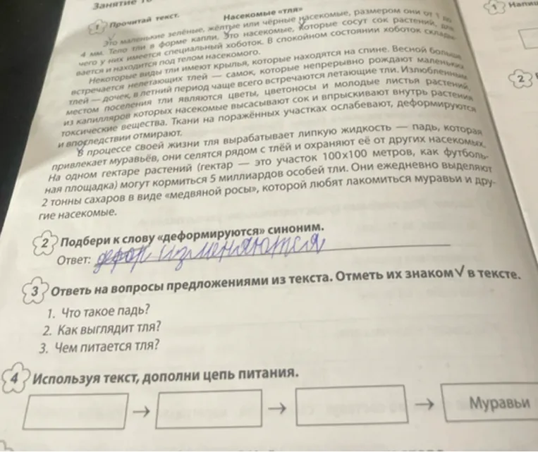 Ответь на вопросы предложениями из текста. Отметь их знаком V в тексте. 1. Что такое падь? 2. Как выглядит тля? 3. Чем питается тля?