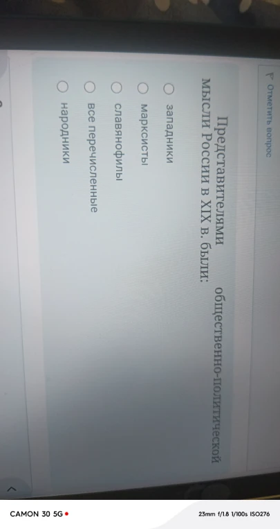 Представителями общественно-политической мысли России в XIX в. были: