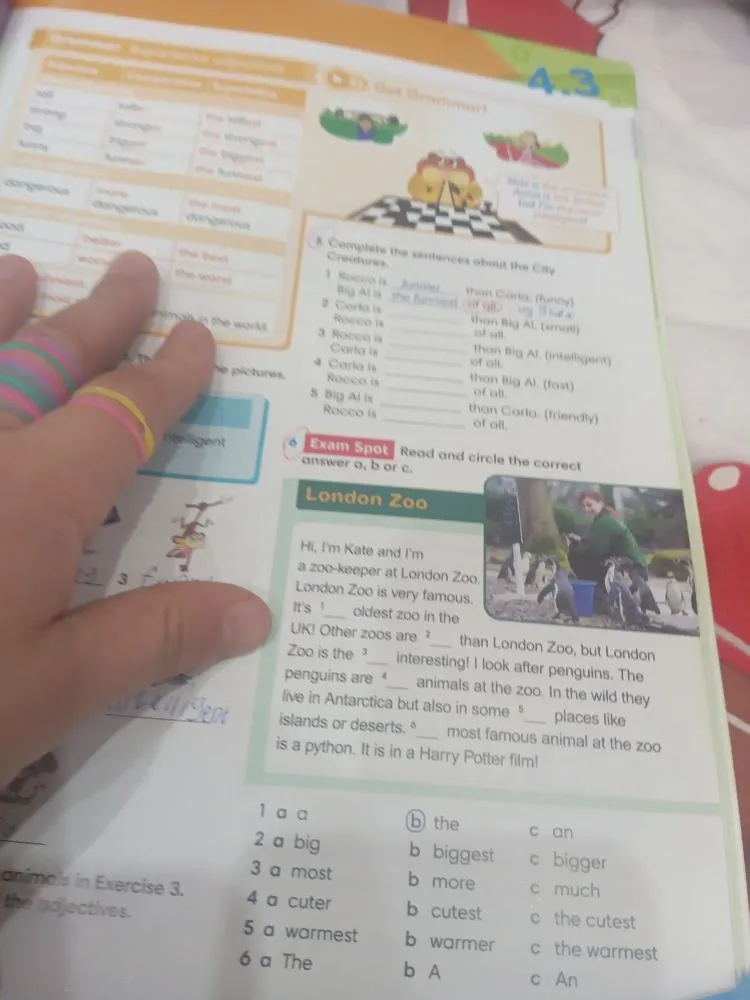 Complete the sentences about the City Creatures.