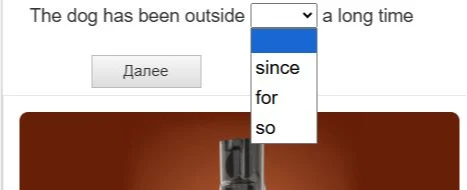 The dog has been outside [dropdown] a long time