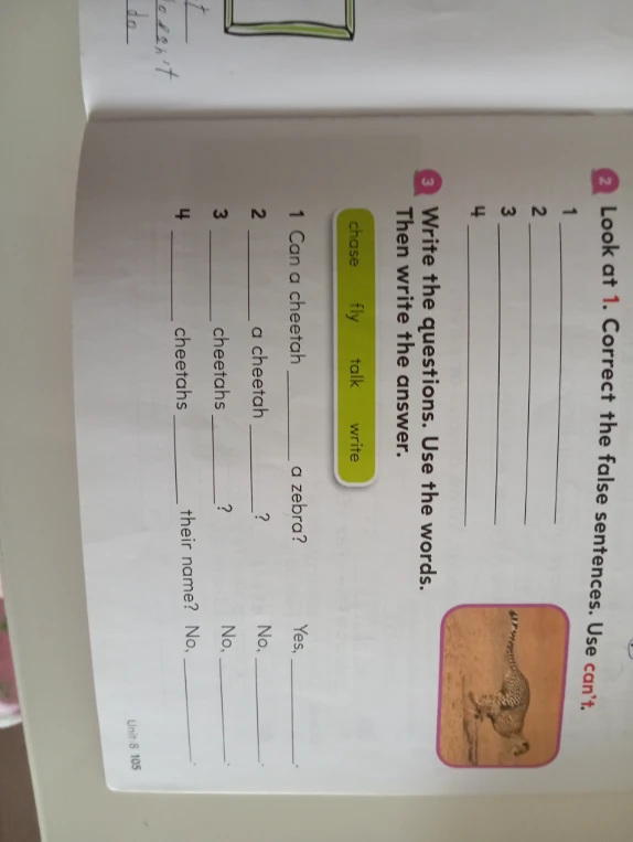 Write the questions. Use the words. Then write the answer.