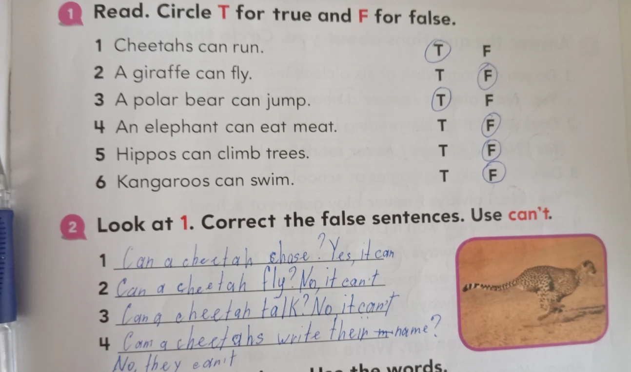 Look at 1. Correct the false sentences. Use can't.