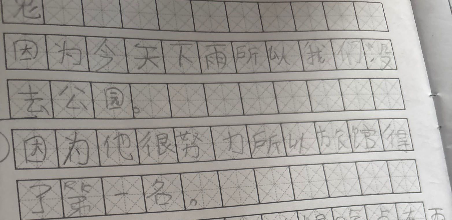 因为今天下雨，所以我们没去公园。
