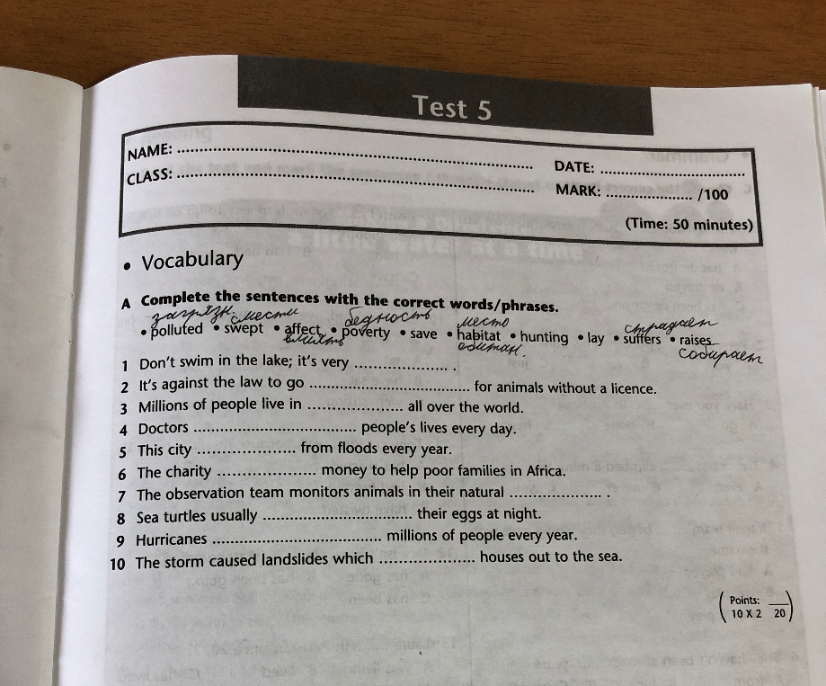 Complete the sentences with the correct words/phrases.