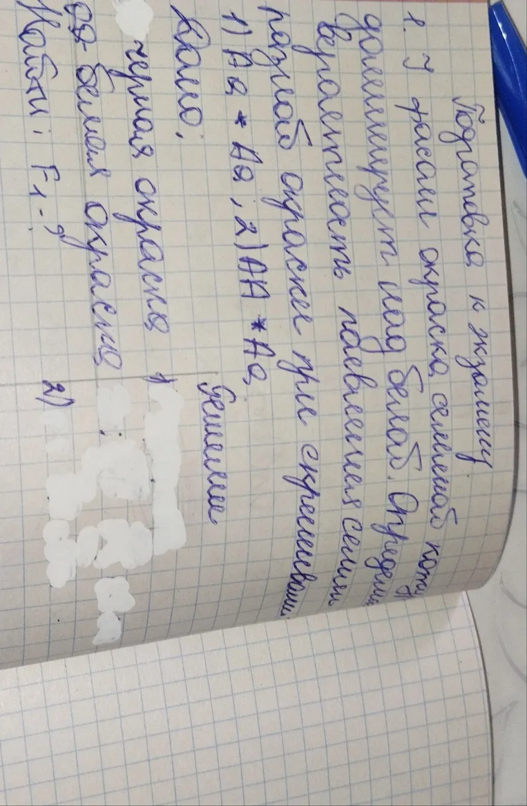 У расы кошек окраска черной кожи доминирует над белой. Определить вероятность рождения белых котят при скрещивании черных гетерозигот.