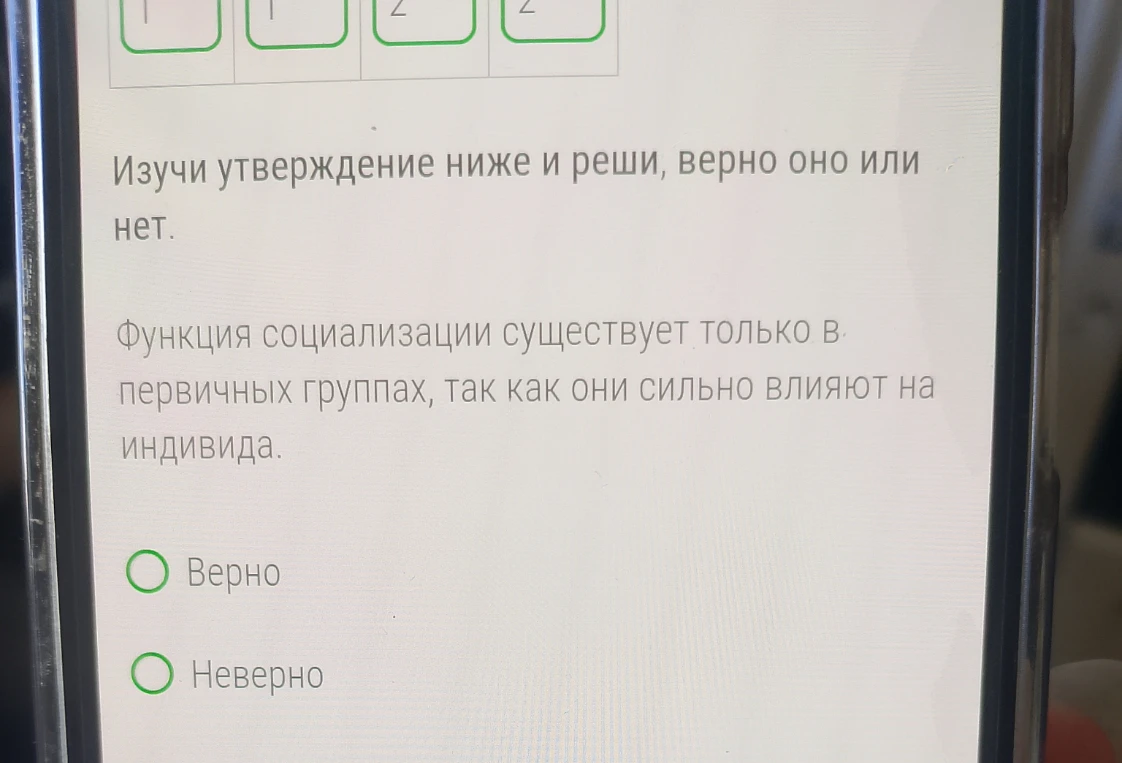 Изучи утверждение ниже и реши, верно оно или нет. Функция социализации существует только в первичных группах, так как они сильно влияют на индивида.