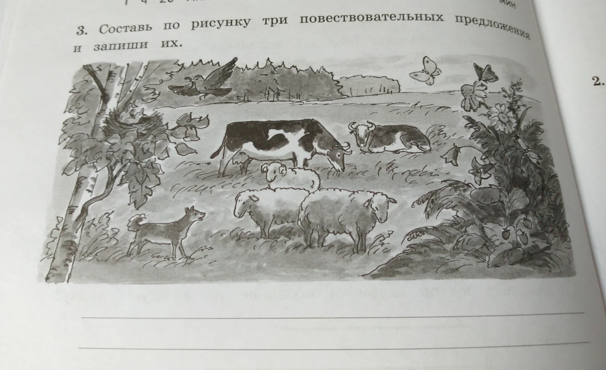 Составь по рисунку три повествовательных предложения и запиши их.