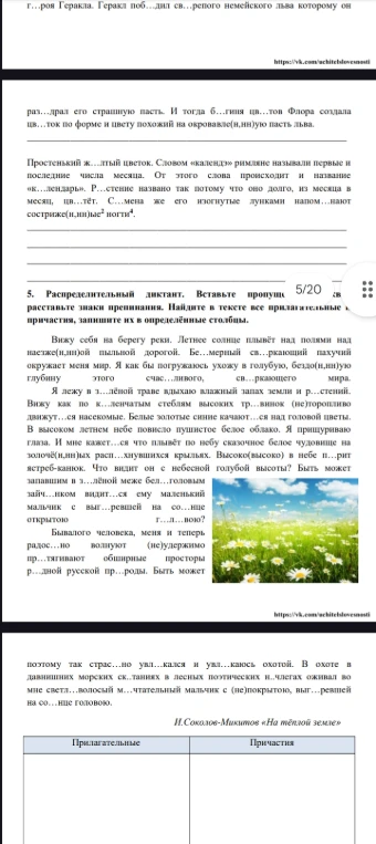 Распределительный диктант. Вставьте пропущенные буквы, расставьте знаки препинания. Найдите в тексте все прилагательные и причастия, запишите их в определённые столбцы.