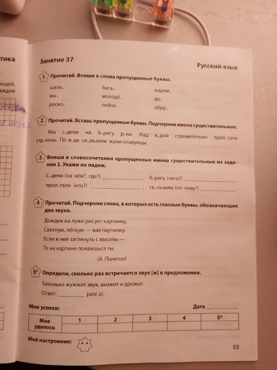 Прочитай. Впиши в слова пропущенные буквы.