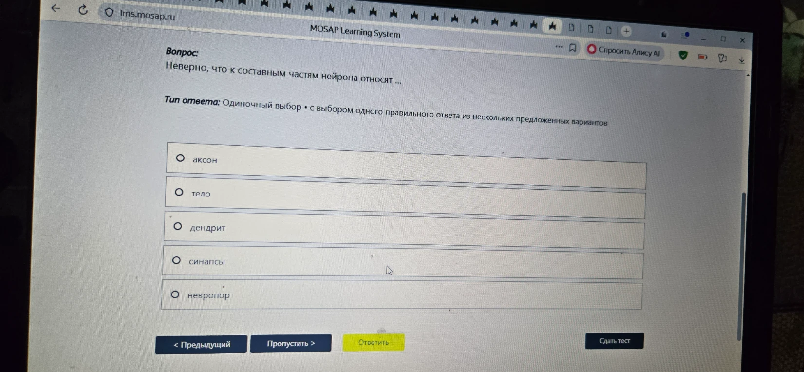Неверно, что к составным частям нейрона относят ...