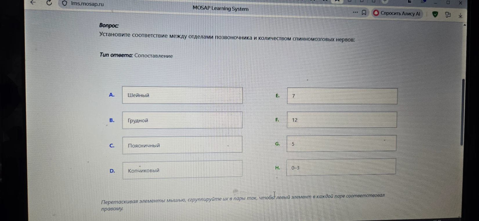 Установите соответствие между отделами позвоночника и количеством спинномозговых нервов