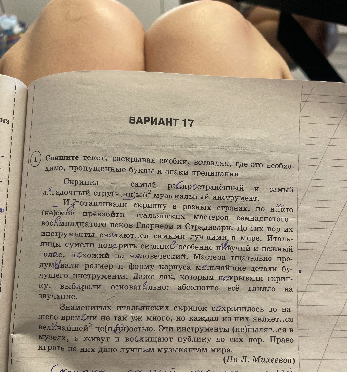 Спишите текст, раскрывая скобки, вставляя, где это необходимо, пропущенные буквы и знаки препинания.