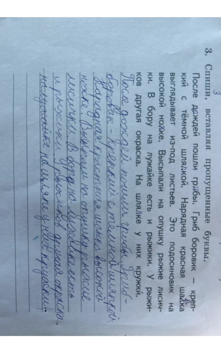 3. Спиши, вставляя пропущенные буквы.