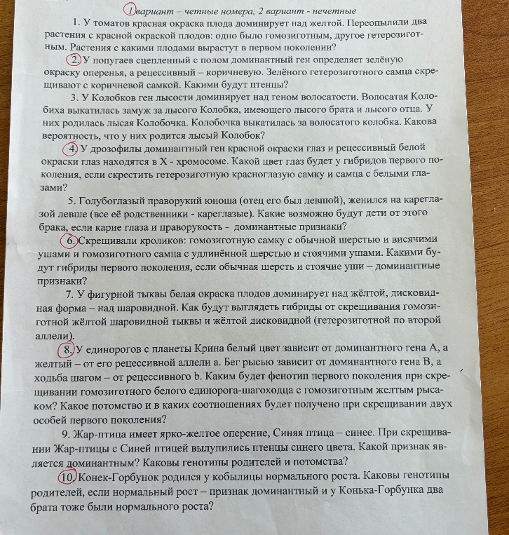 1. У томатов красная окраска плода доминирует над желтой. Переопылили два растения с красной окраской плодов: одно было гомозиготным, другое гетерозиготным. Растения с какими плодами вырастут в первом поколении?
