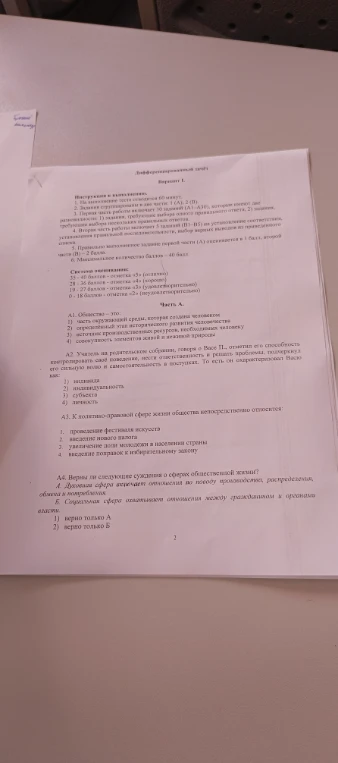 А1. Общество — это: