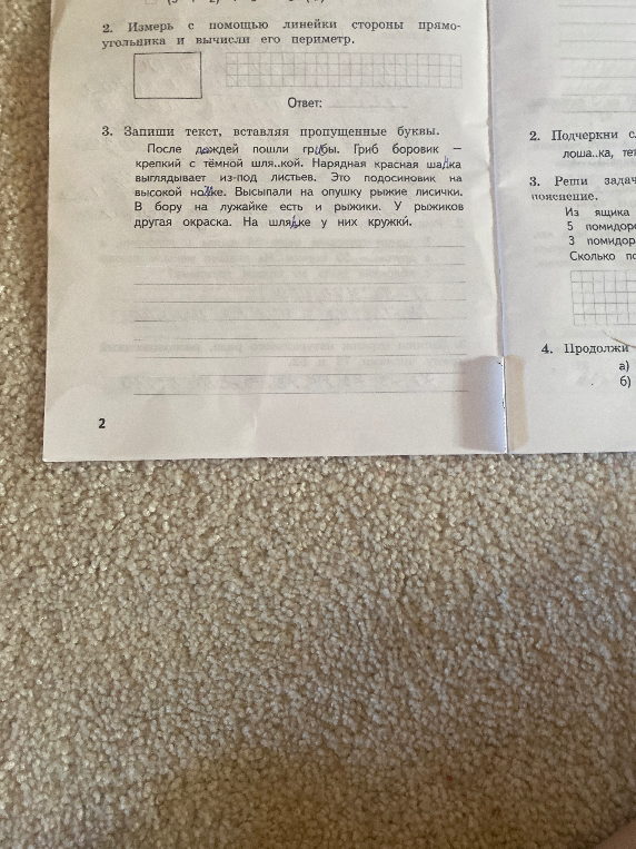 3. Запиши текст, вставляя пропущенные буквы.
