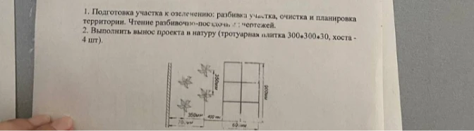 1. Подготовка участка к озеленению: разбивка участка, очистка и планировка территории. Чтение разбивочно-посадочных чертежей.