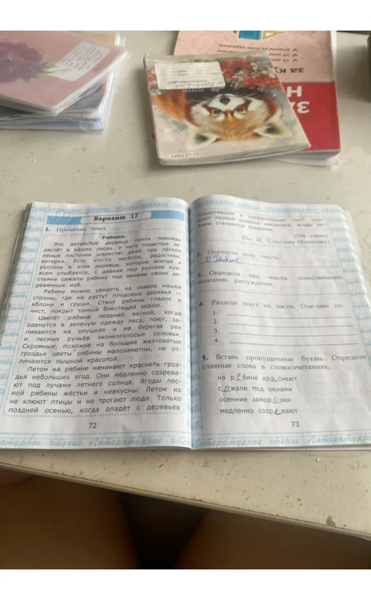 Определи тему текста.