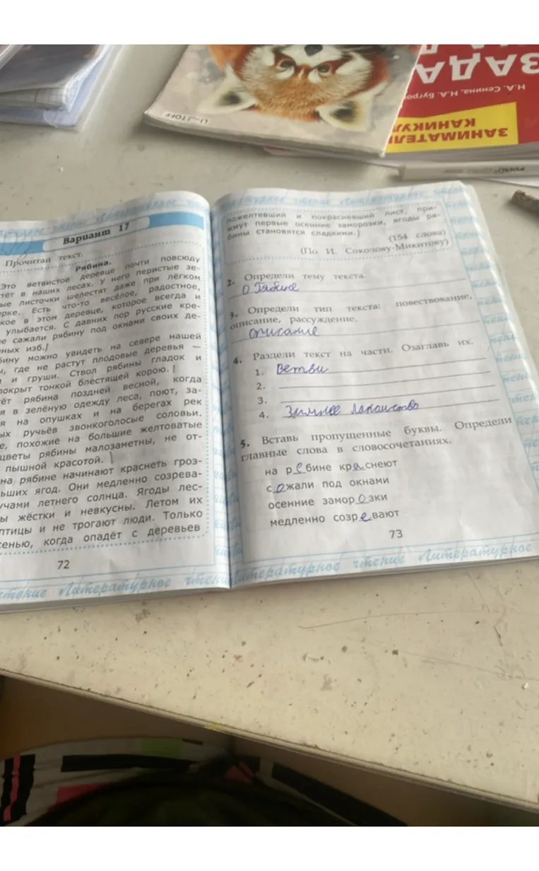 Прочитай текст. Рябина.