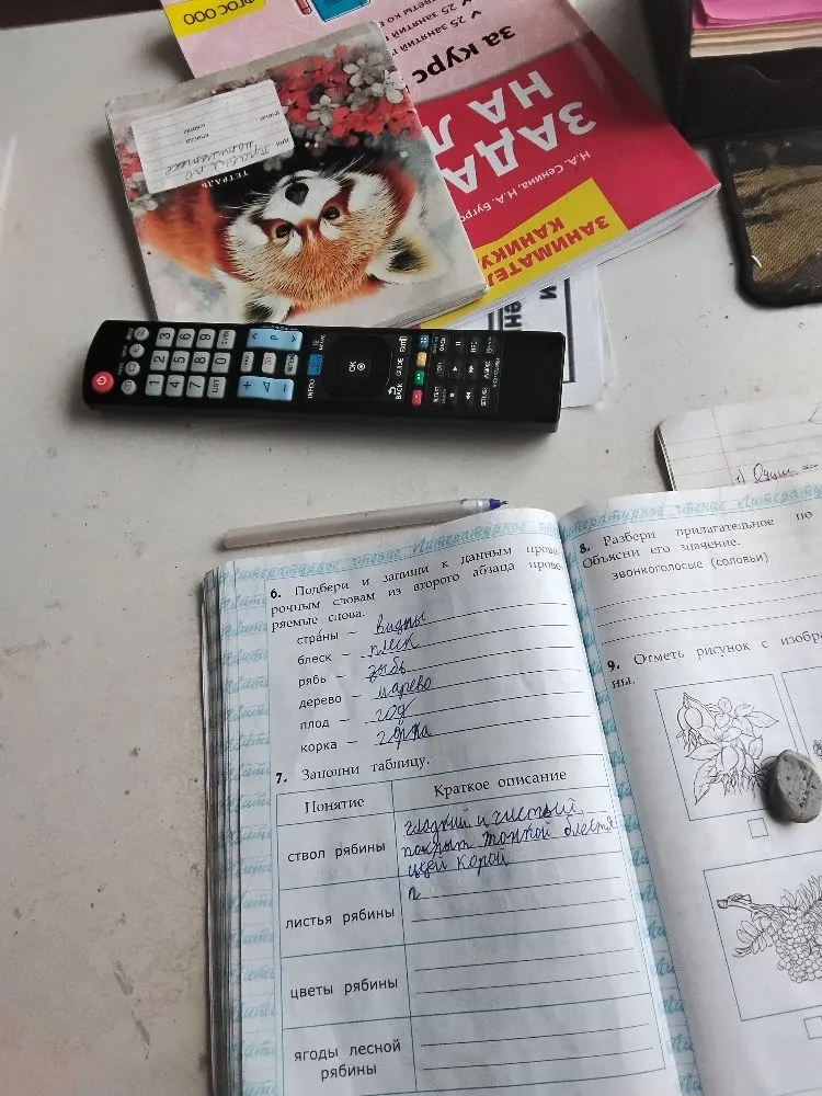 Заполни таблицу.