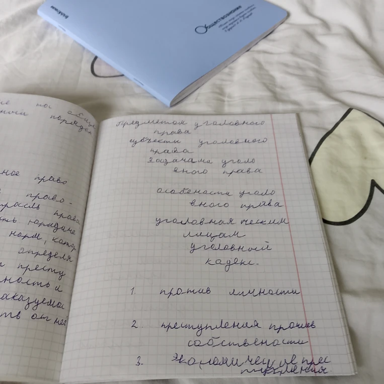 Предметом уголовного права субъекты уголовного права задачами уголовного права особенности уголовного права уголовная ответственность лицам уголовный кодекс 1. против личности 2. преступления против собственности 3. экономические преступления