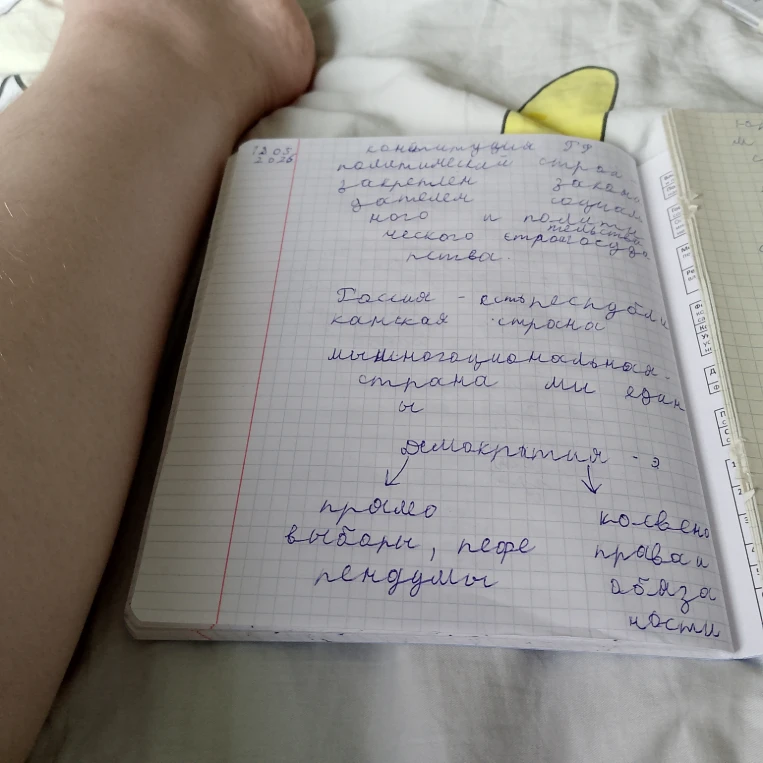 Конституция РФ, политический строй, Россия - республиканская страна, многонациональная страна, мы едины, демократия.