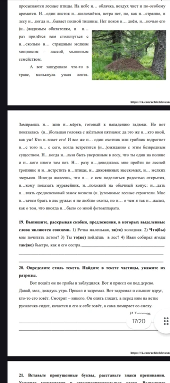 19. Выпишите, раскрывая скобки, предложения, в которых выделенные слова являются союзами. 1) Речка маленькая, за(то) холодная. 2) Что(бы) мне почитать летом? 3) Ты то(же) пойдёт в лес? 4) Иван собирал ягоды так(же) быстро, как и его сестра.