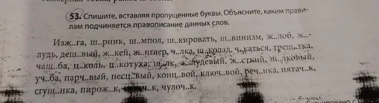53. Спишите, вставляя пропущенные буквы. Объясните, каким правилам подчиняется правописание данных слов.