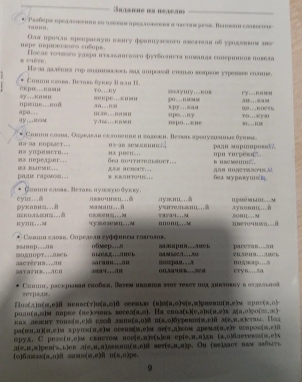 Разбери предложения по членам предложения и частям речи. Выпиши словосочетания.