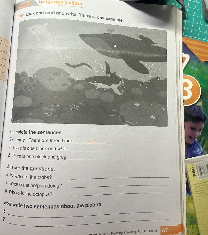 Look and read and write. There is one example. Complete the sentences.