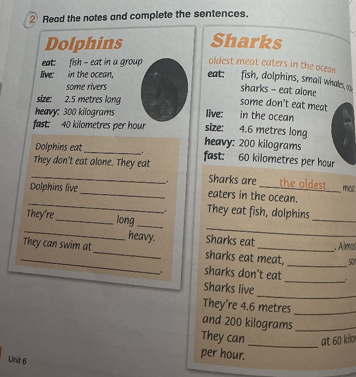 Read the notes and complete the sentences.
