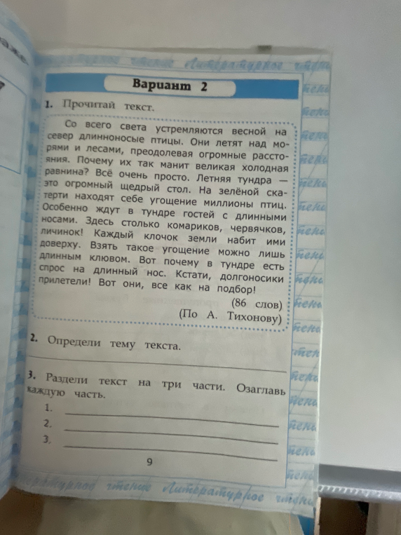 Прочитай текст. Со всего света устремляются весной на север длинноносые птицы. Они летят над морями и лесами, преодолевая огромные расстояния. Почему их так манит великая холодная равнина?