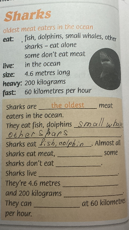 Sharks are the oldest meat eaters in the ocean. They eat fish, dolphins small whales other sharks. Sharks eat fish, dolphin . Almost all sharks eat meat, some sharks don't eat . Sharks live . They're 4.6 metres and 200 kilograms . They can at 60 kilometres per hour.