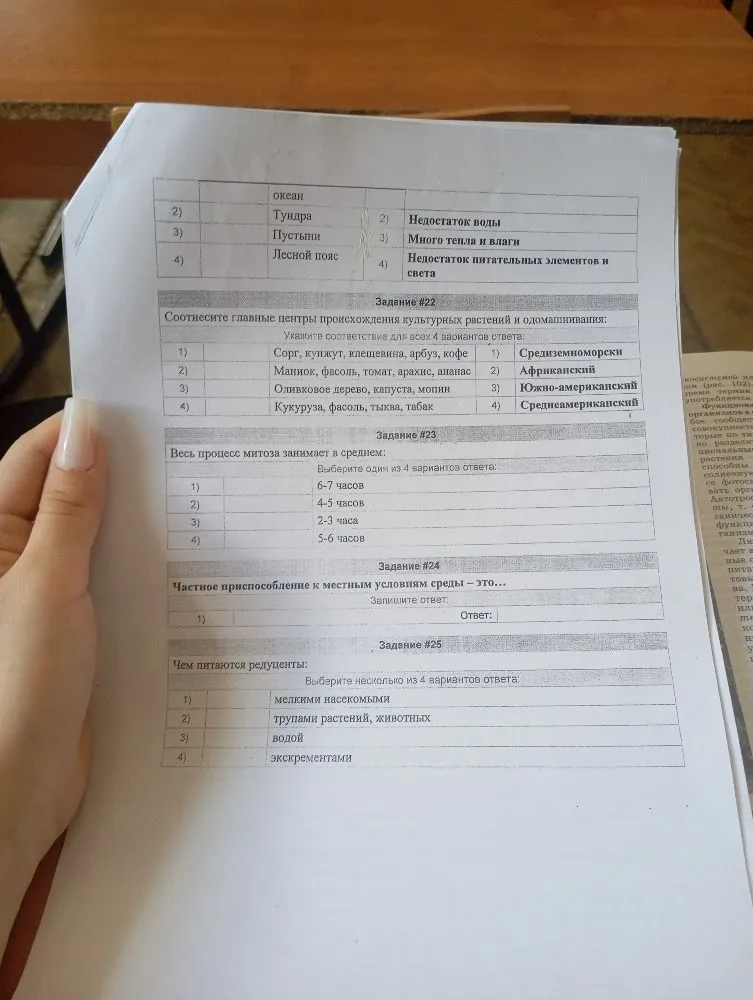 Соотнесите главные центры происхождения культурных растений и одомашнивания: