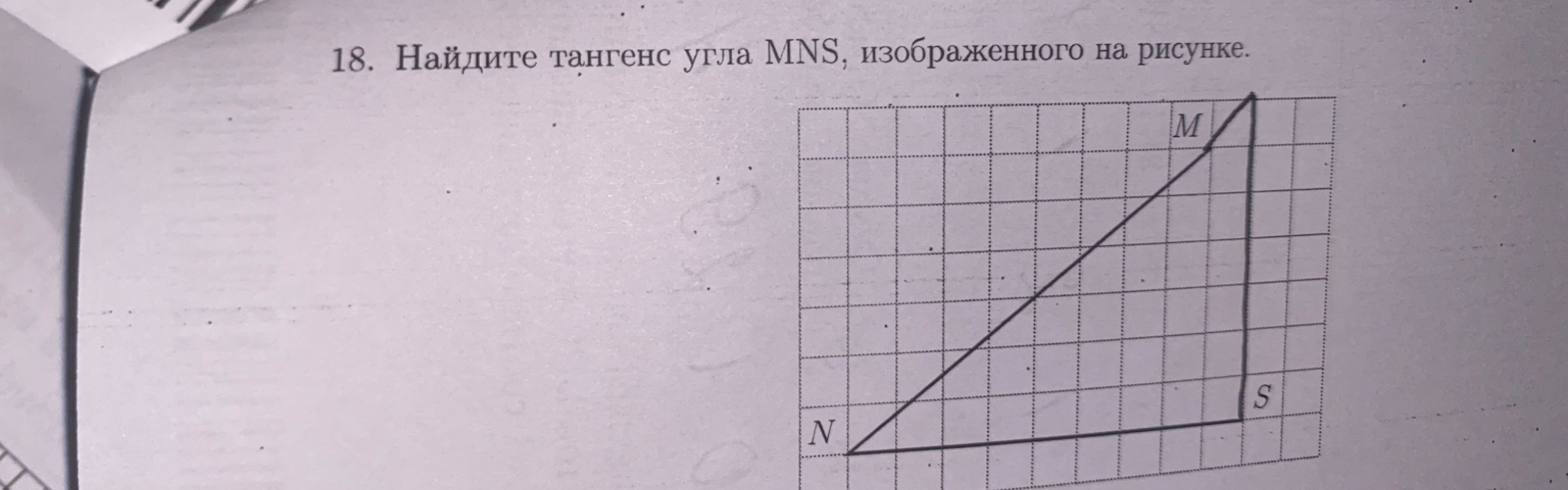 18. Найдите тангенс угла MNS, изображенного на рисунке.