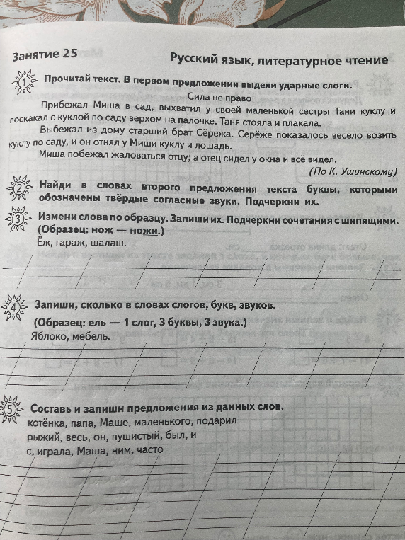 Прочитай текст. В первом предложении выдели ударные слоги.