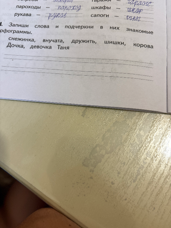 4. Запиши слова и подчеркни в них знакомые орфограммы.