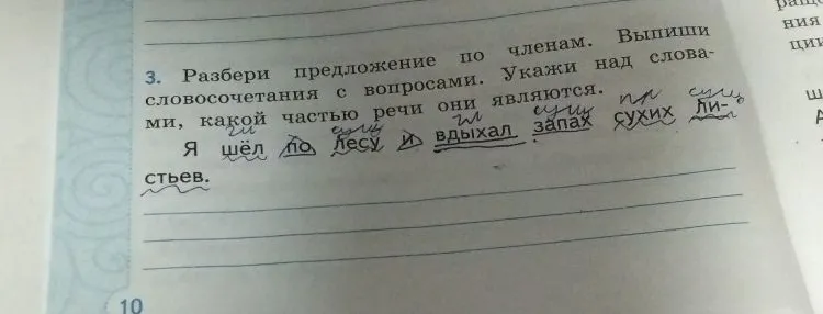 3. Разбери предложение по членам. Выпиши словосочетания с вопросами. Укажи над словами, какой частью речи они являются.