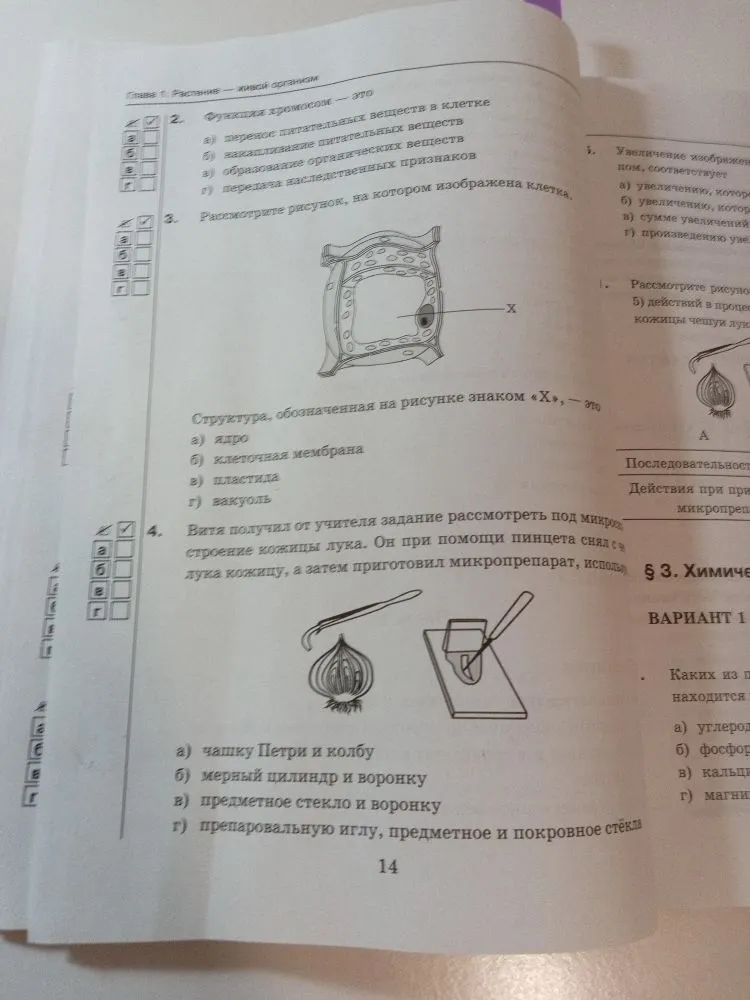 Функция хромосом — это