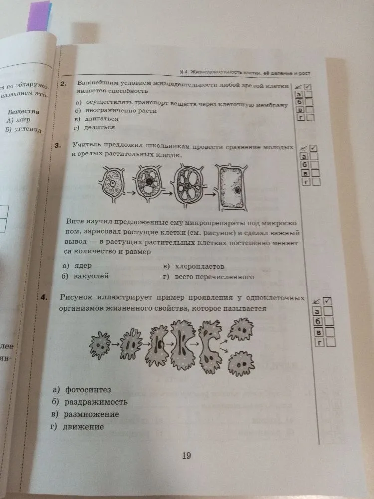 Важнейшим условием жизнедеятельности любой зрелой клетки является способность