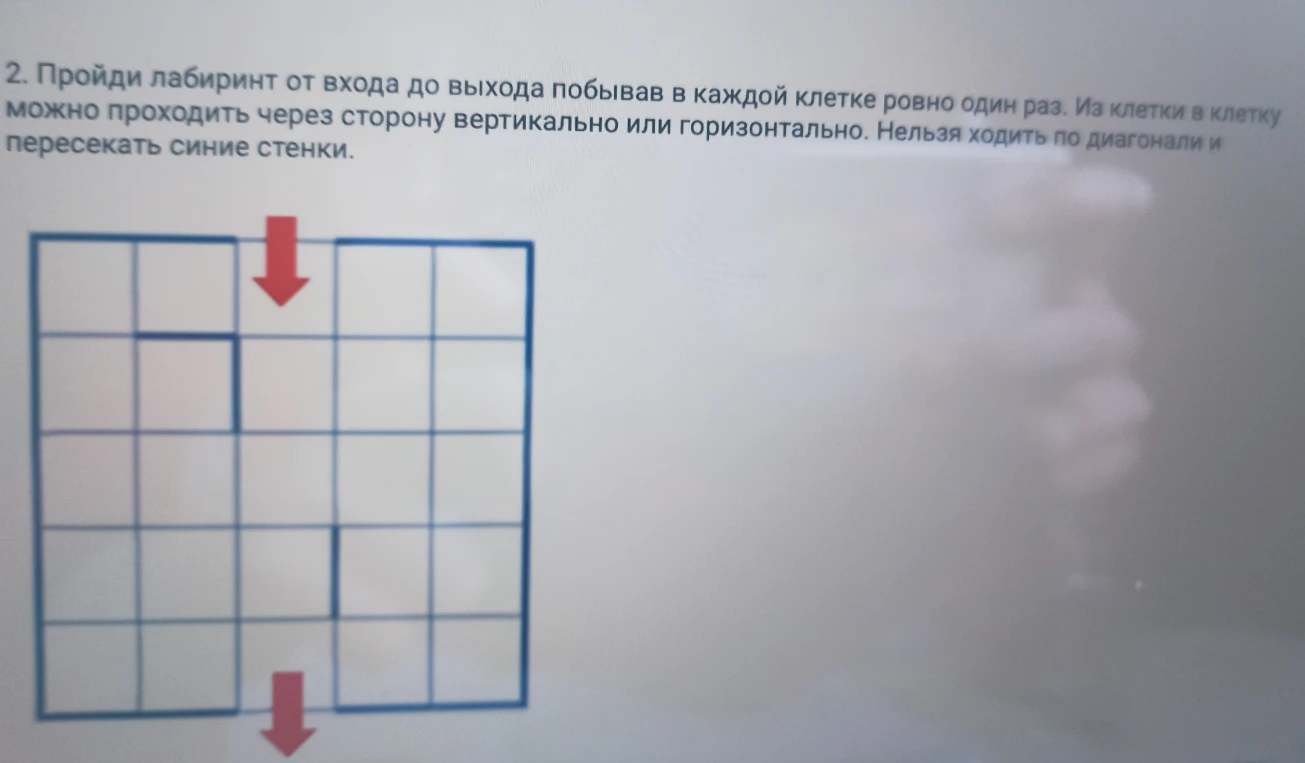 2. Пройди лабиринт от входа до выхода побывав в каждой клетке ровно один раз. Из клетки в клетку можно проходить через сторону вертикально или горизонтально. Нельзя ходить по диагонали и пересекать синие стенки.