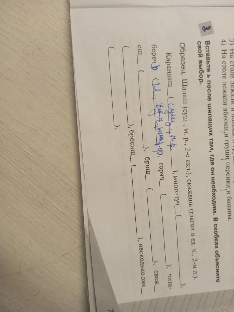 Вставьте ь после шипящих там, где он необходим. В скобках объясните свой выбор.