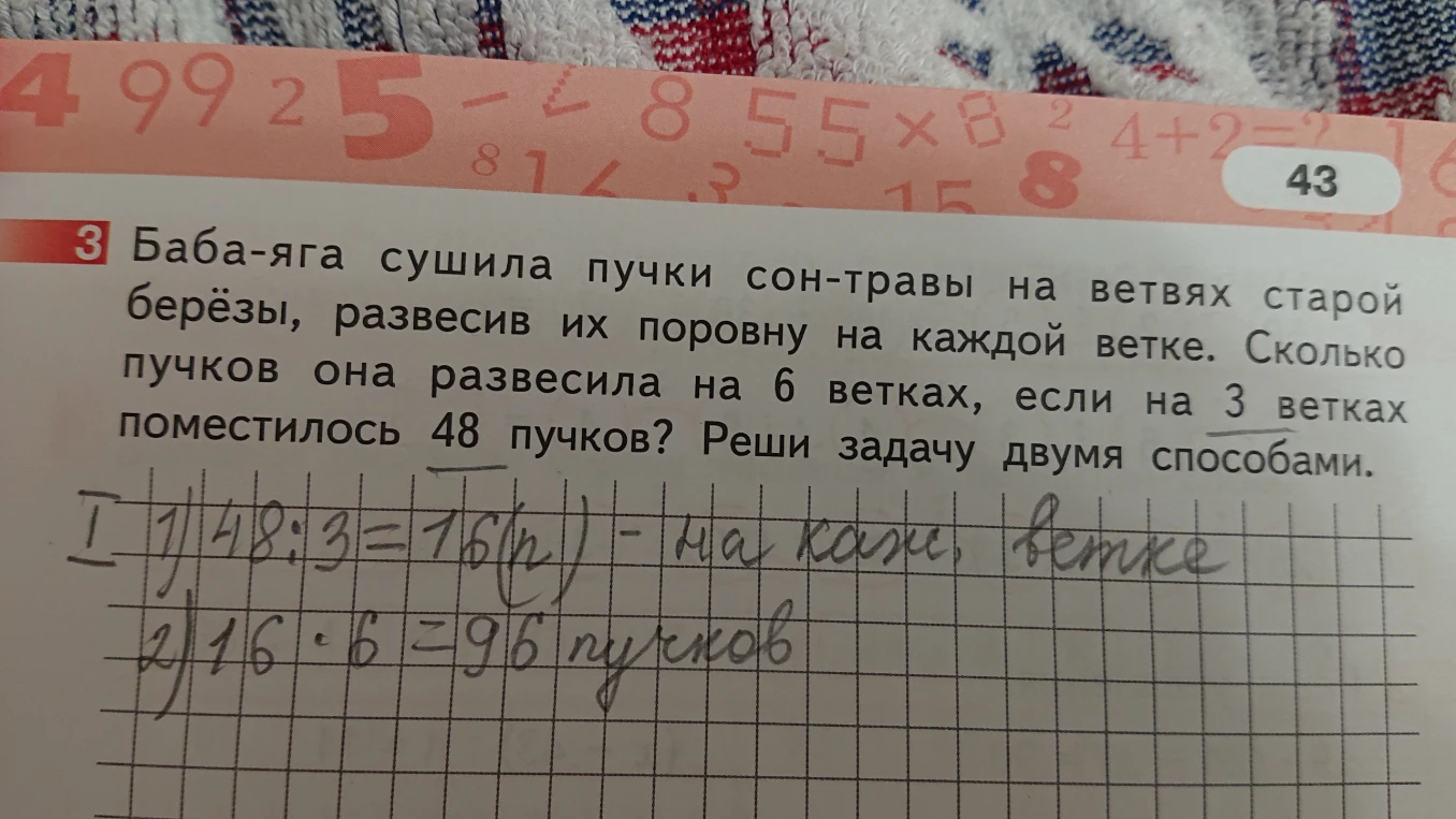 Баба-яга сушила пучки сон-травы на ветвях старой берёзы, развесив их поровну на каждой ветке. Сколько пучков она развесила на 6 ветках, если на 3 ветках поместилось 48 пучков? Реши задачу двумя способами.