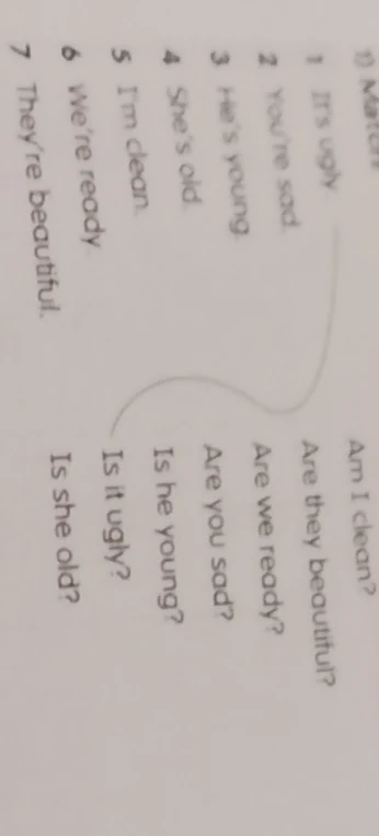 1) Match the sentences with the questions.
