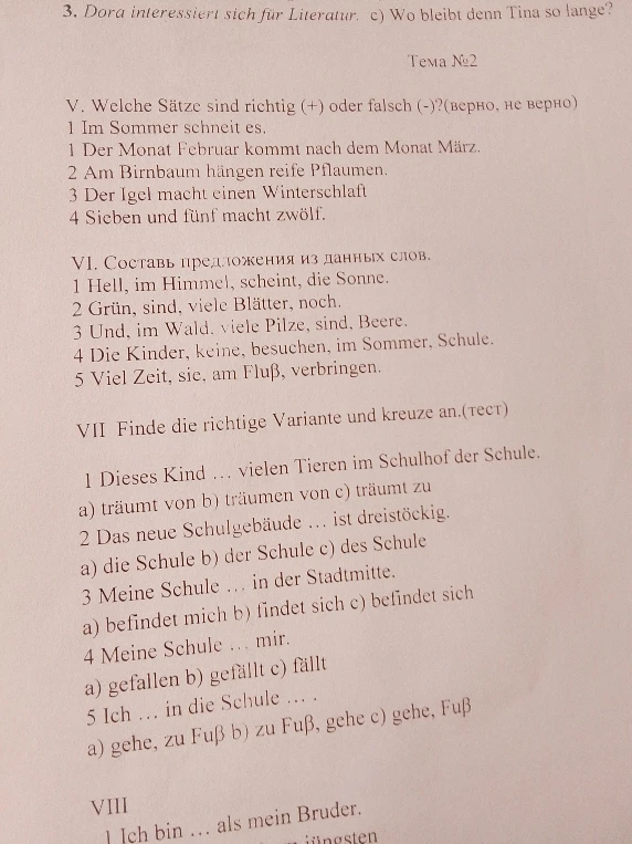 V. Welche Sätze sind richtig (+) oder falsch (-)?(верно, не верно)
