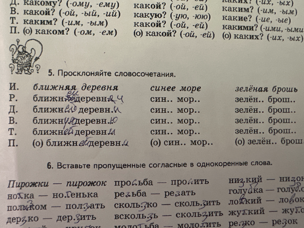 5. Просклоняйте словосочетания.
