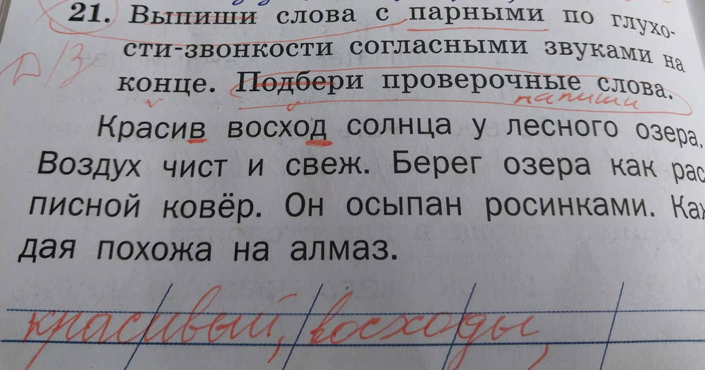 21. Выпиши слова с парными по глухости-звонкости согласными звуками на конце. Подбери проверочные слова.