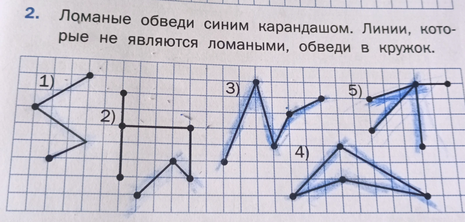Ломаные обведи синим карандашом. Линии, которые не являются ломаными, обведи в кружок.