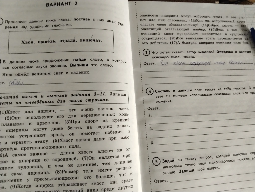 Произнеси данные ниже слова, поставь в них знак ударения над ударными гласными. Хвоя, щавель, отдала, включат.